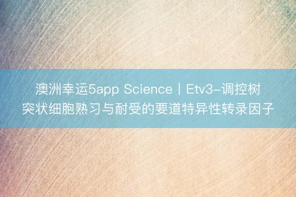 澳洲幸运5app Science丨Etv3-调控树突状细胞熟习与耐受的要道特异性转录因子