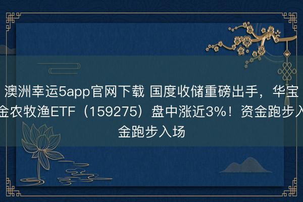 澳洲幸运5app官网下载 国度收储重磅出手，华宝基金农牧渔ETF（159275）盘中涨近3%！资金跑步入场
