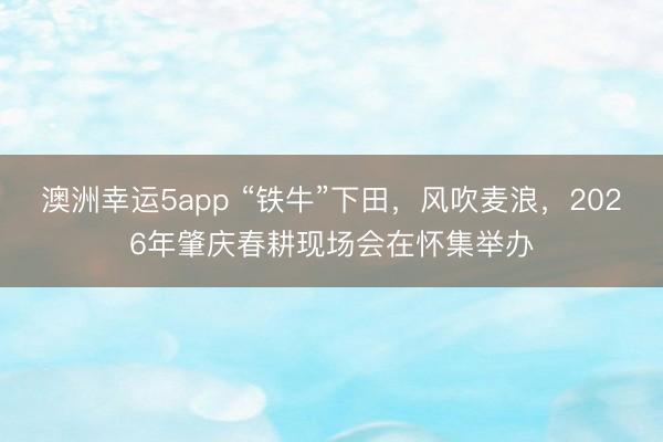 澳洲幸运5app “铁牛”下田，风吹麦浪，2026年肇庆春耕现场会在怀集举办