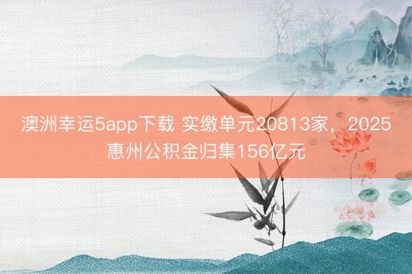 澳洲幸运5app下载 实缴单元20813家,2025惠州公积金归集156亿元