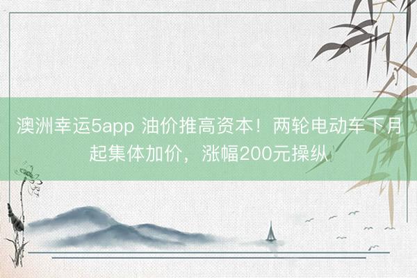 澳洲幸运5app 油价推高资本！两轮电动车下月起集体加价，涨幅200元操纵