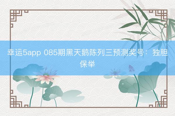 幸运5app 085期黑天鹅陈列三预测奖号：独胆保举