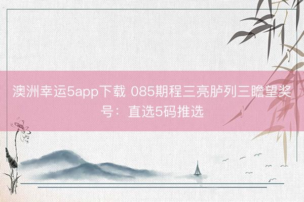 澳洲幸运5app下载 085期程三亮胪列三瞻望奖号:直选5码推选