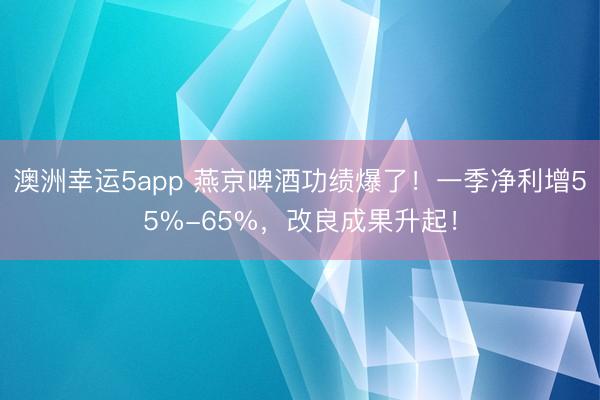 澳洲幸运5app 燕京啤酒功绩爆了！一季净利增55%-65%，改良成果升起！
