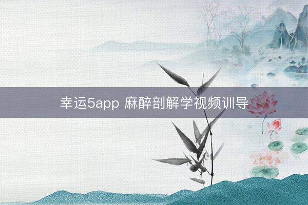 幸运5app 麻醉剖解学视频训导