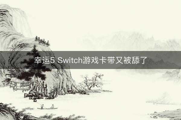 幸运5 Switch游戏卡带又被舔了