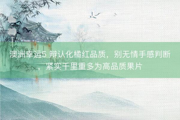 澳洲幸运5 辩认化橘红品质，别无情手感判断，紧实千里重多为高品质果片