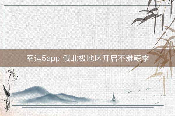 幸运5app 俄北极地区开启不雅鲸季